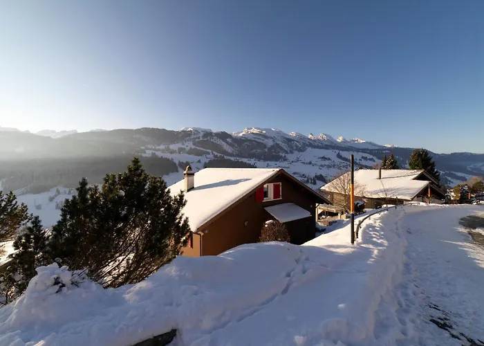 Muerner Apartment Wildhaus